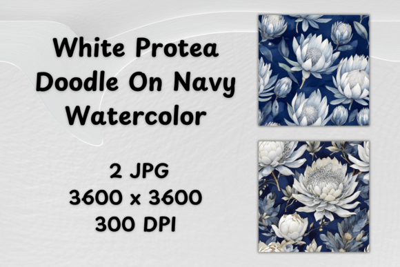White Protea Doodle on Navy Watercolor